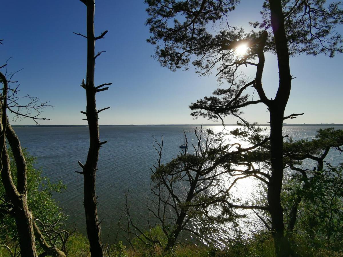 Apartment Waldblick Vom Naturhof Usedom Bannemin Eksteriør billede