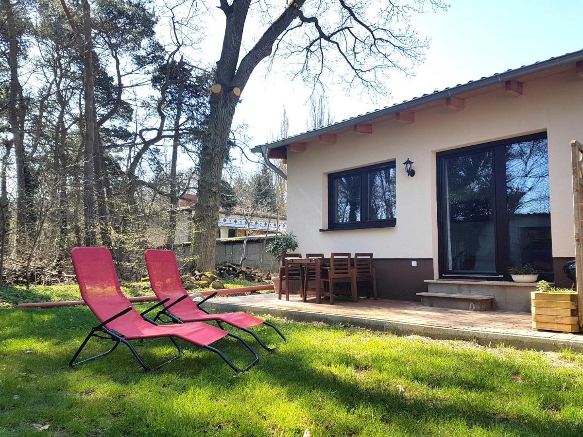 Apartment Waldblick Vom Naturhof Usedom Bannemin Eksteriør billede